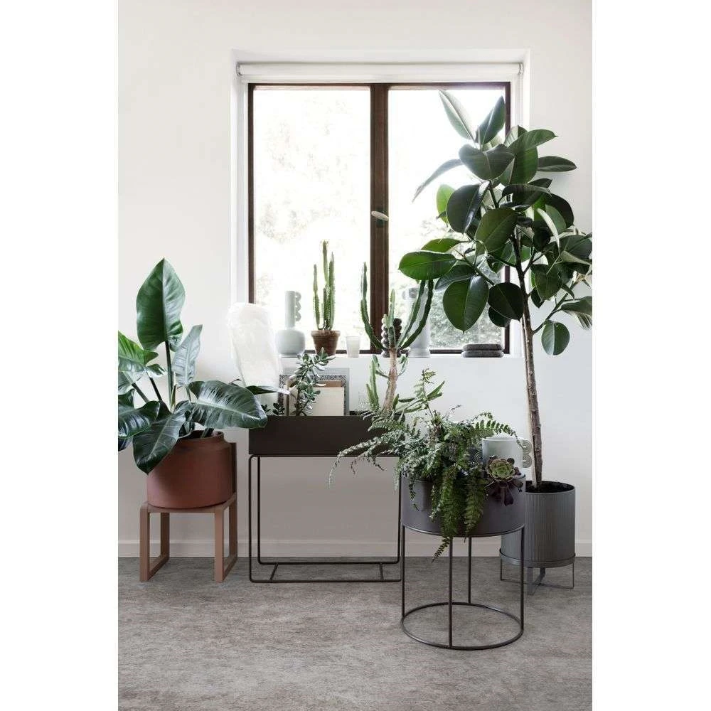 Plant Box Black - Ferm LIVING - Koop Online 4 Plant Box Black - Ferm LIVING - Koop Online - Afbeelding 2