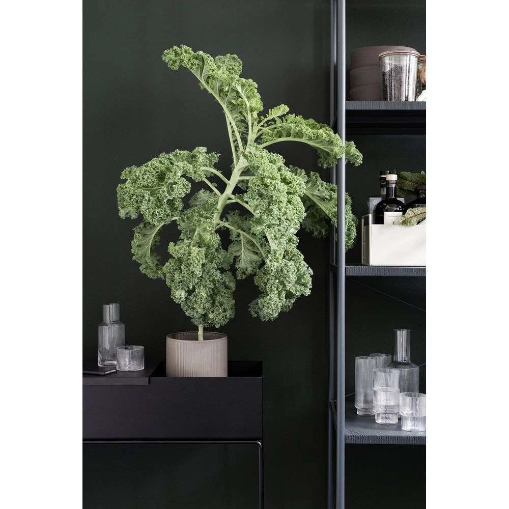 Plant Box Black - Ferm LIVING - Koop Online 5 Plant Box Black - Ferm LIVING - Koop Online - Afbeelding 3