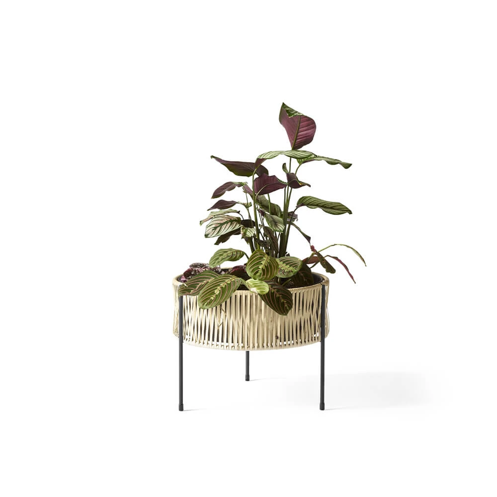 Umanoff Planter H:325 - Menu - Koop Online 4 Umanoff Planter H:325 - Menu - Koop Online - Afbeelding 2