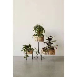 Umanoff Planter H:325 - Menu - Koop Online 10 Umanoff Planter H:325 - Menu - Koop Online -Kortingswinkel voor woondecoratie 57092620487793