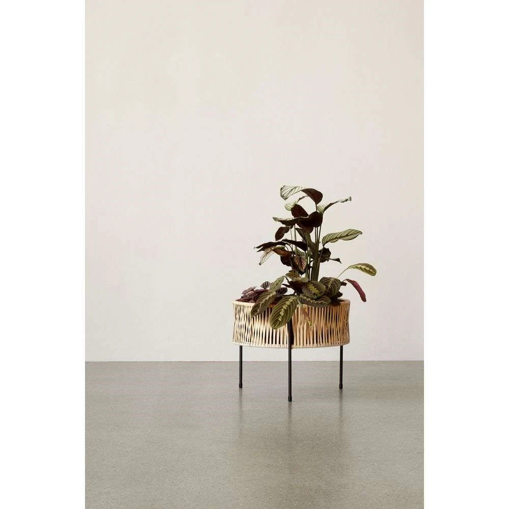 Umanoff Planter H:325 - Menu - Koop Online 6 Umanoff Planter H:325 - Menu - Koop Online - Afbeelding 4