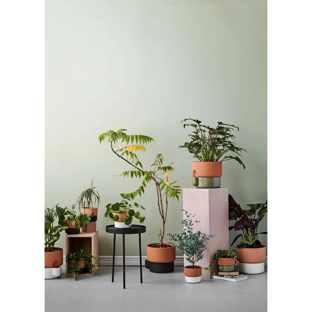 Oasis Flowerpot Small White/Terracotta - Northern - Koop Online 4 Oasis Flowerpot Small White/Terracotta - Northern - Koop Online - Afbeelding 2