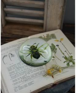 Botanische Insect Presse Papier Bij, Groot