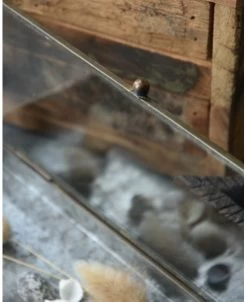 Glazen Kistje In Antiek-look Met Zinken Bodem, IB Laursen -Kortingswinkel voor woondecoratie glazen kistje in antiek look met zinken bodem ib laursen 3