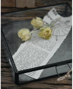 Glazen Kistje Met Zinken Bodem, IB Laursen -Kortingswinkel voor woondecoratie glazen kistje met zinken bodem ib laursen 2