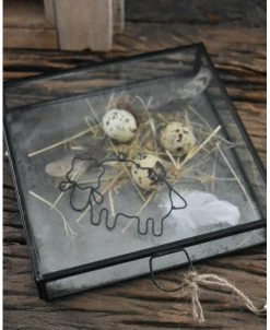 Glazen Kistje Met Zinken Bodem, IB Laursen -Kortingswinkel voor woondecoratie glazen kistje met zinken bodem ib laursen 6