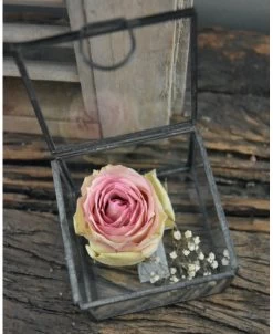 Glazen Kistje Vierkant, IB Laursen 13 Glazen Kistje Vierkant, IB Laursen -Kortingswinkel voor woondecoratie glazen kistje vierkant ib laursen 4