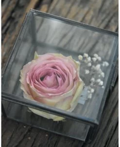 Glazen Kistje Vierkant, IB Laursen 15 Glazen Kistje Vierkant, IB Laursen -Kortingswinkel voor woondecoratie glazen kistje vierkant ib laursen 6