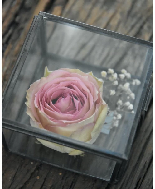 Glazen Kistje Vierkant, IB Laursen 9 Glazen Kistje Vierkant, IB Laursen - Afbeelding 7