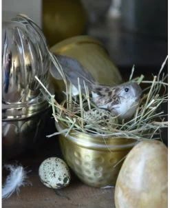 Groot Antiek-look Goud Kleurig Ei Met Reliëf, IB Laursen 15 Groot Antiek-look Goud Kleurig Ei Met Reliëf, IB Laursen -Kortingswinkel voor woondecoratie groot antiek look goud kleurig ei met relief ib laursen 5