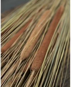 Grote Schoof Van Gras En Rietsigaren 10 Grote Schoof Van Gras En Rietsigaren -Kortingswinkel voor woondecoratie grote schoof van gras en rietsigaren 2
