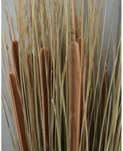 Grote Schoof Van Gras En Rietsigaren 11 Grote Schoof Van Gras En Rietsigaren -Kortingswinkel voor woondecoratie grote schoof van gras en rietsigaren 3