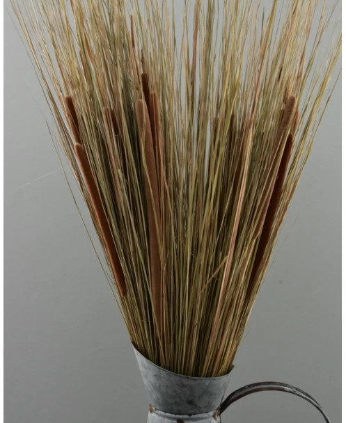 Grote Schoof Van Gras En Rietsigaren 3 Grote Schoof Van Gras En Rietsigaren