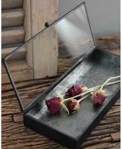 Langwerpig Kistje Met Glazen Deksel -Kortingswinkel voor woondecoratie langwerpig kistje met glazen deksel 2