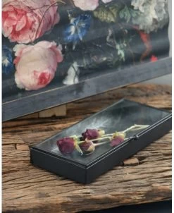 Langwerpig Kistje Met Glazen Deksel -Kortingswinkel voor woondecoratie langwerpig kistje met glazen deksel 4