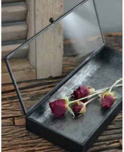 Langwerpig Kistje Met Glazen Deksel -Kortingswinkel voor woondecoratie langwerpig kistje met glazen deksel 7