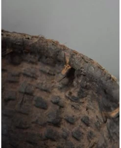 Originele Oude Leemmand -Kortingswinkel voor woondecoratie originele oude leemmand 7