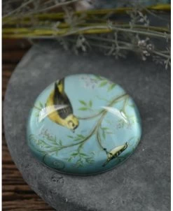 Presse Papier Met Vogels Op Tak In Pastel Blauw -Kortingswinkel voor woondecoratie presse papier met vogels op tak in pastel blauw 2