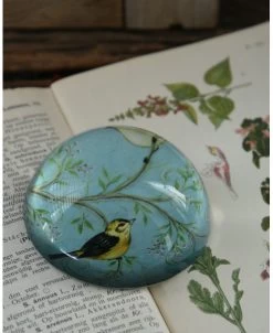 Presse Papier Met Vogels Op Tak In Pastel Blauw -Kortingswinkel voor woondecoratie presse papier met vogels op tak in pastel blauw 3