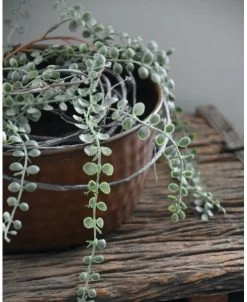 Rond Metalen Schaal Met 'bobbel' Structuur, Groot -Kortingswinkel voor woondecoratie rond metalen schaal met bobbel structuur groot 5