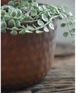 Rond Metalen Schaal Met 'bobbel' Structuur, Klein -Kortingswinkel voor woondecoratie rond metalen schaal met bobbel structuur klein 2