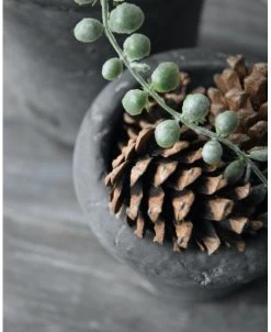 Vintage Grijze Rechte Pot Met Bolle Rand Klein, Brynxz 15 Vintage Grijze Rechte Pot Met Bolle Rand Klein, Brynxz -Kortingswinkel voor woondecoratie vintage grijze rechte pot met bolle rand klein brynxz 6