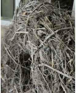 White Wash Krans Van Takken En Wortels -Kortingswinkel voor woondecoratie white wash krans van takken en wortels 3